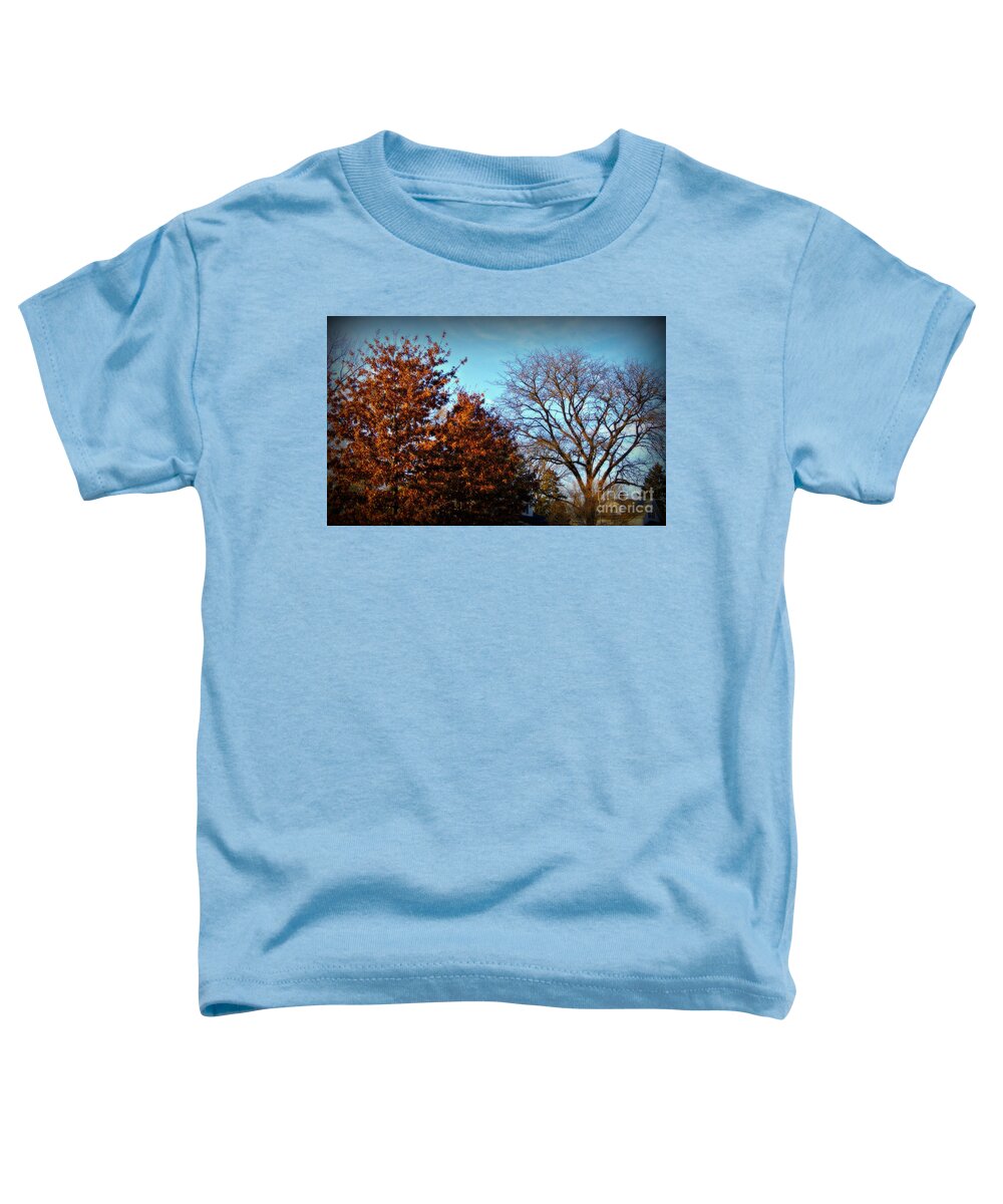 Nature Toddler T-Shirt featuring the photograph Late Autumn Golden Hour - Soft by Frank J Casella