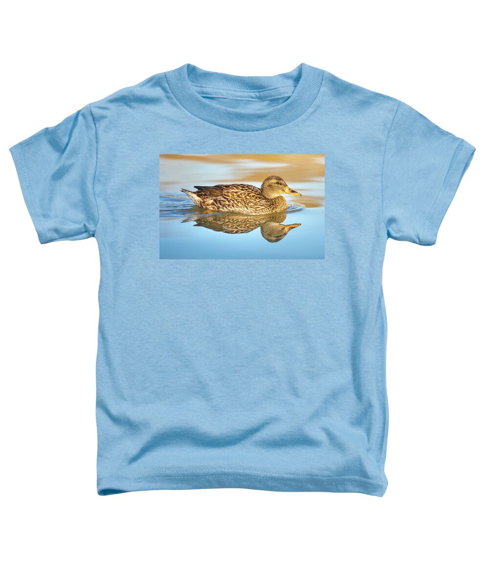 Mallard Toddler T-Shirt featuring the photograph Mallard Hen Reflections by Jordan Hill