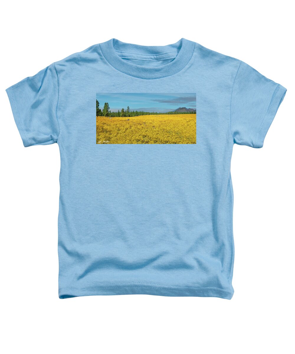 Arizona Toddler T-Shirt featuring the photograph Meadow of Yellow Wildflowers by Jeff Goulden