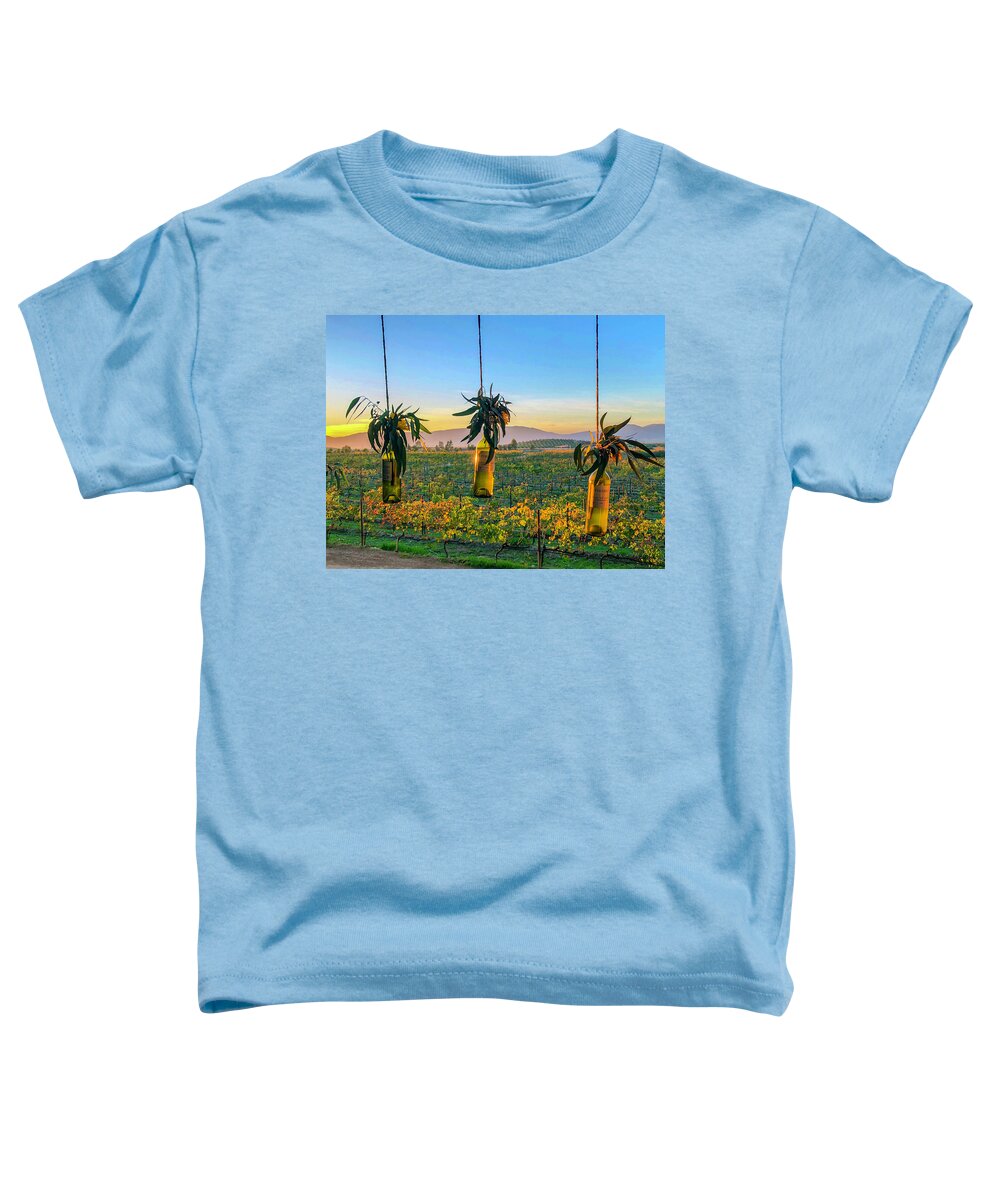 Sunset Toddler T-Shirt featuring the photograph Mexico Wine Country Sunset by William Scott Koenig