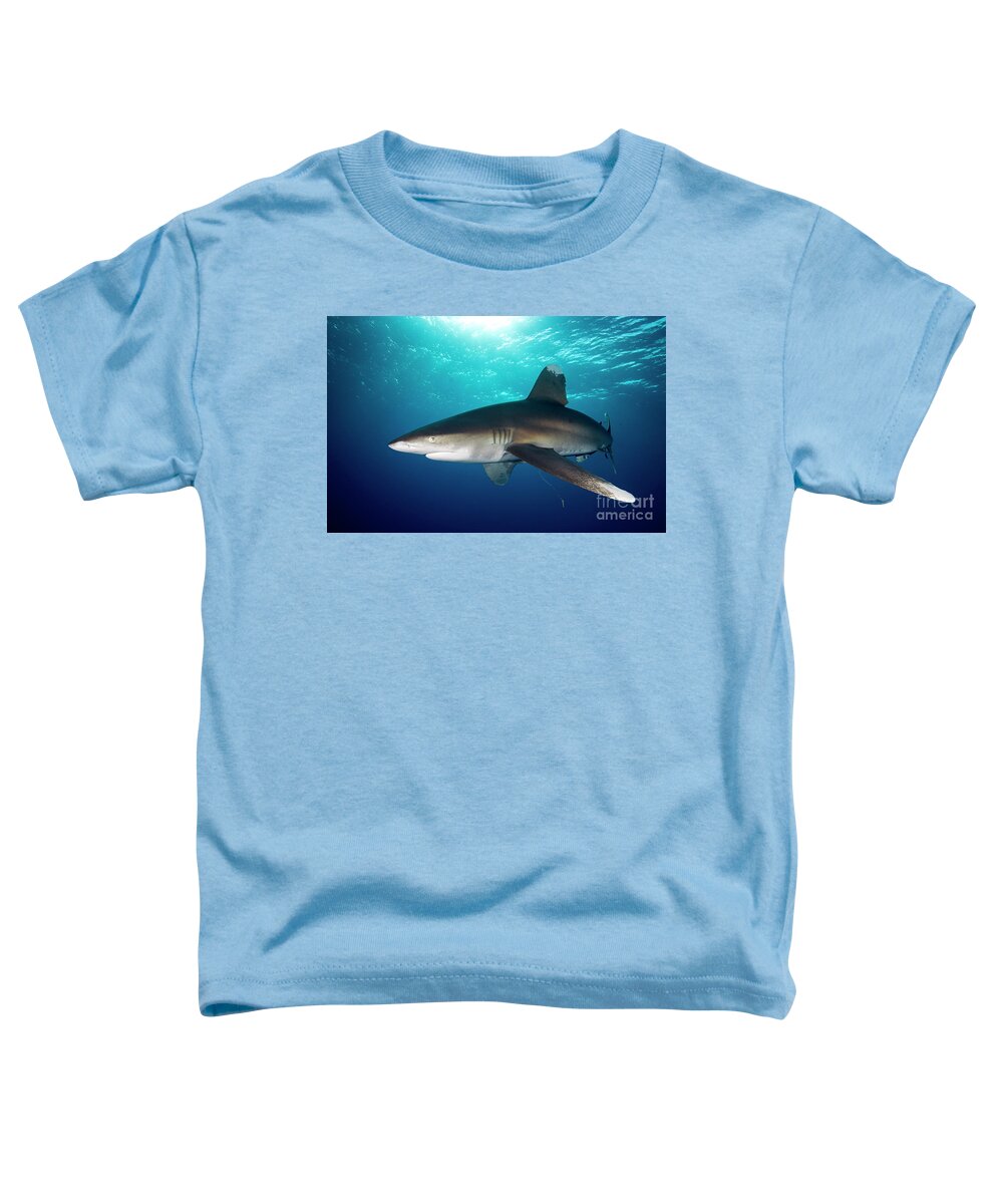 70006095 Toddler T-Shirt featuring the photograph Oceanic White-tip Shark by Dray van Beeck