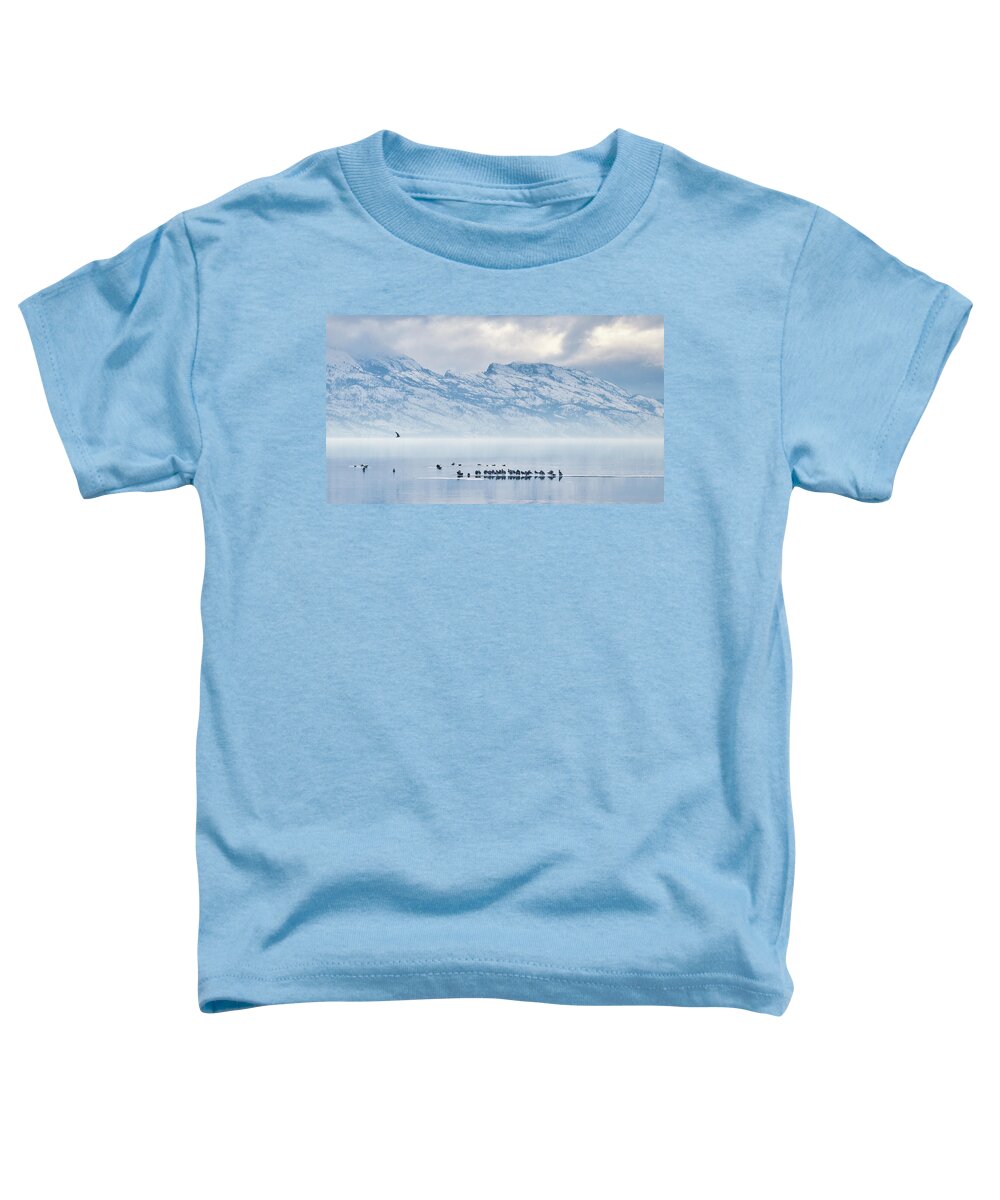 Landscape Toddler T-Shirt featuring the photograph Okanagan Lake Gulls by Allan Van Gasbeck