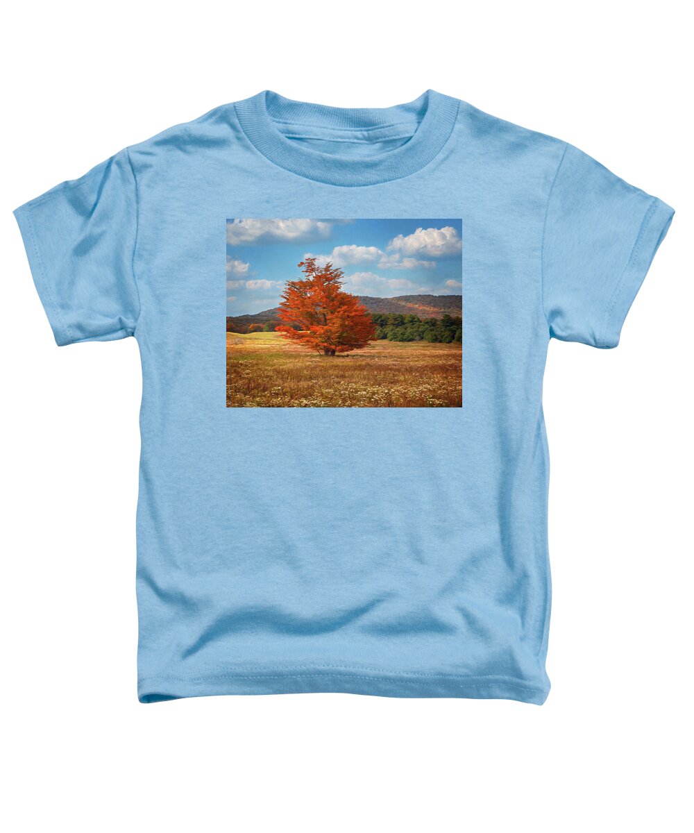 Canaan Valley Toddler T-Shirt featuring the photograph Orange Tree in Canaan Valley by Jaki Miller
