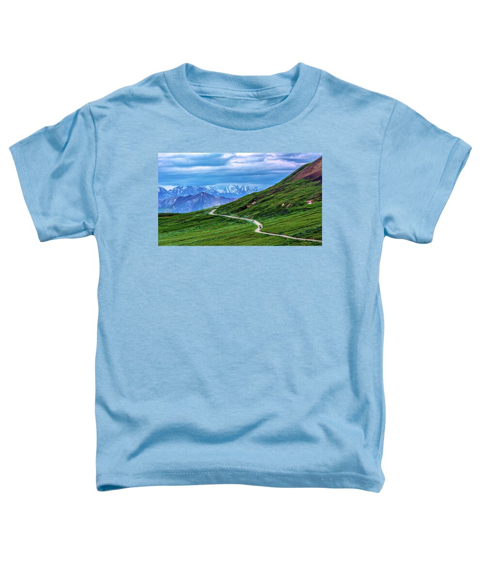 Denali Toddler T-Shirt featuring the photograph Panoramas of Denali National Park by Douglas Wielfaert