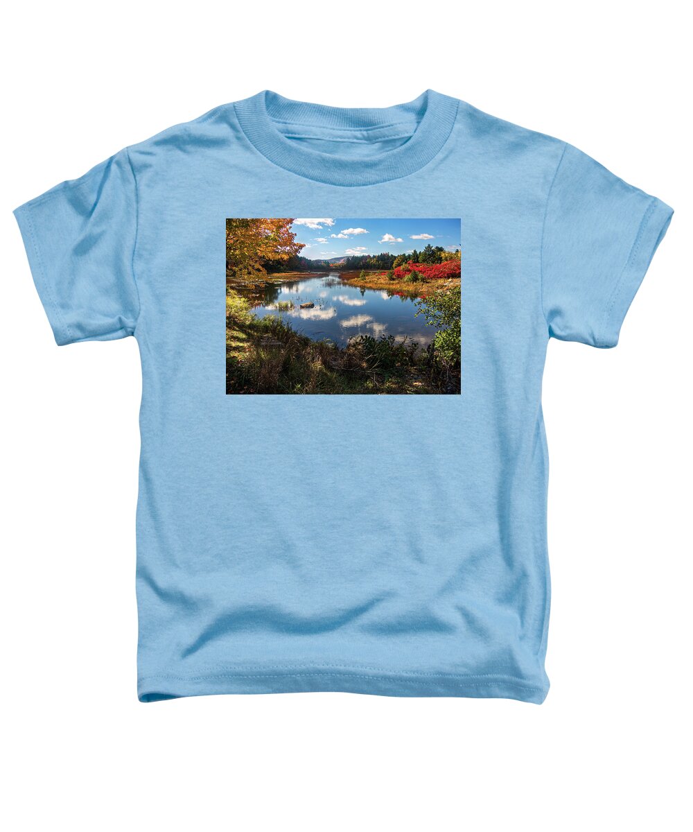 Acadia National Park Toddler T-Shirt featuring the photograph Pond on Carriage Road by Paul Mangold