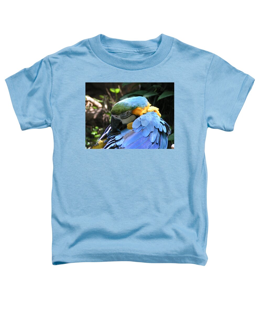  Toddler T-Shirt featuring the photograph Preening Macaw by Heather E Harman