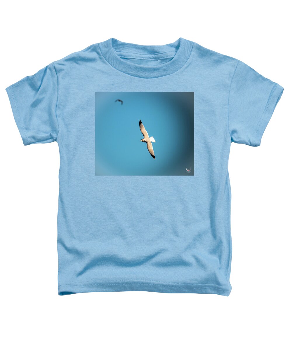 Gull Toddler T-Shirt featuring the photograph Soaring by Pam Rendall