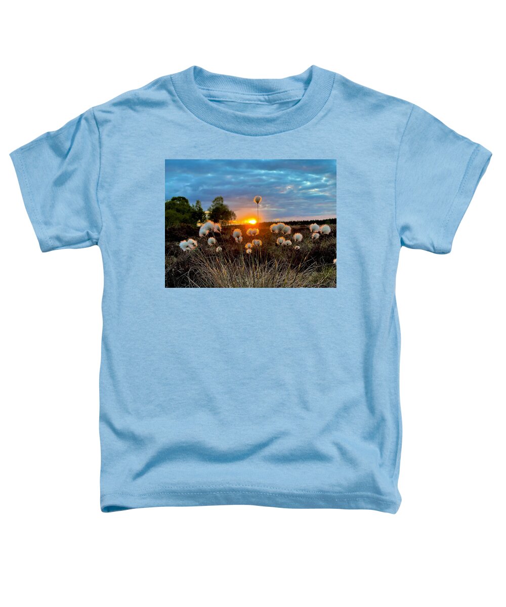 Bog Cotton Toddler T-Shirt featuring the photograph Sun Lit Cotton by Six Months Of Walking
