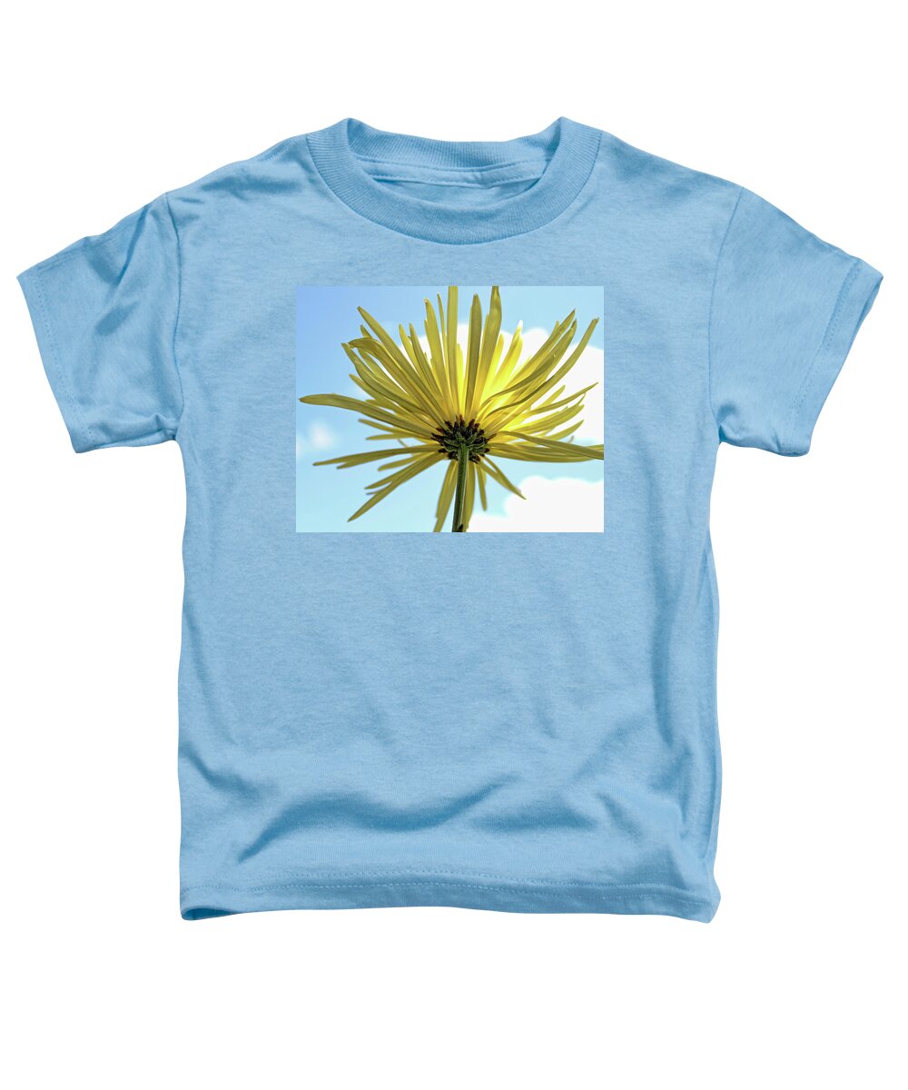 Chrysanthemum Toddler T-Shirt featuring the photograph Sunburst by Judy Vincent