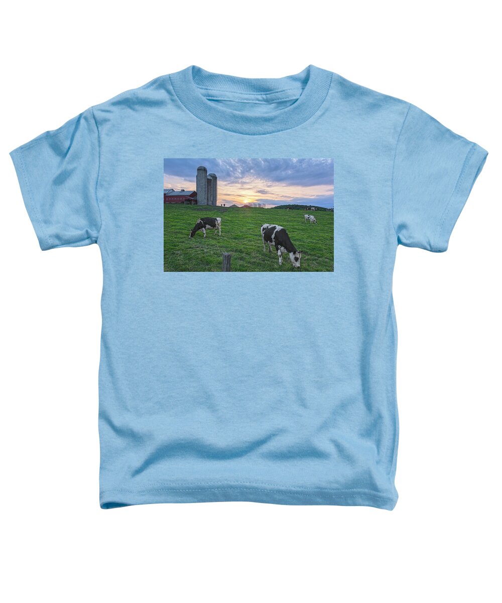 Dairy Of Distinction Toddler T-Shirt featuring the photograph Sunset Grazing by Angelo Marcialis