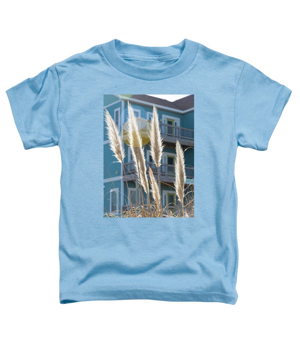 Icloud Toddler T-Shirt featuring the photograph Sunsoaked Beach Grass Bllue Cottage by Meg Leaf