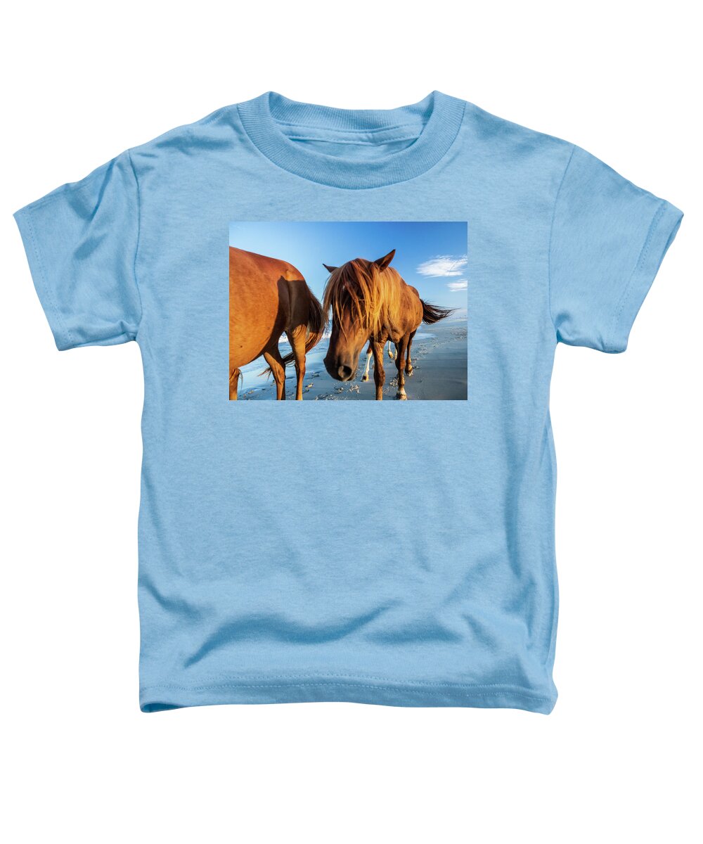 5-places Toddler T-Shirt featuring the photograph Wild Pony Head Shot Assateague Island by Louis Dallara