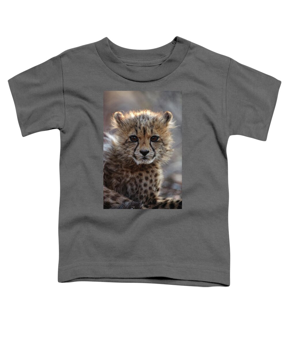 Wildlife Toddler T-Shirt featuring the photograph Cheetah Acinonyx Jubatus, Etosha by David Santiago Garcia