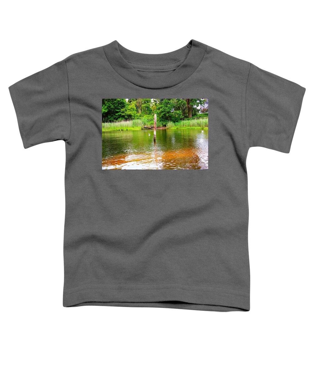 Water Toddler T-Shirt featuring the photograph Old Weathered Pilling by Judy Palkimas