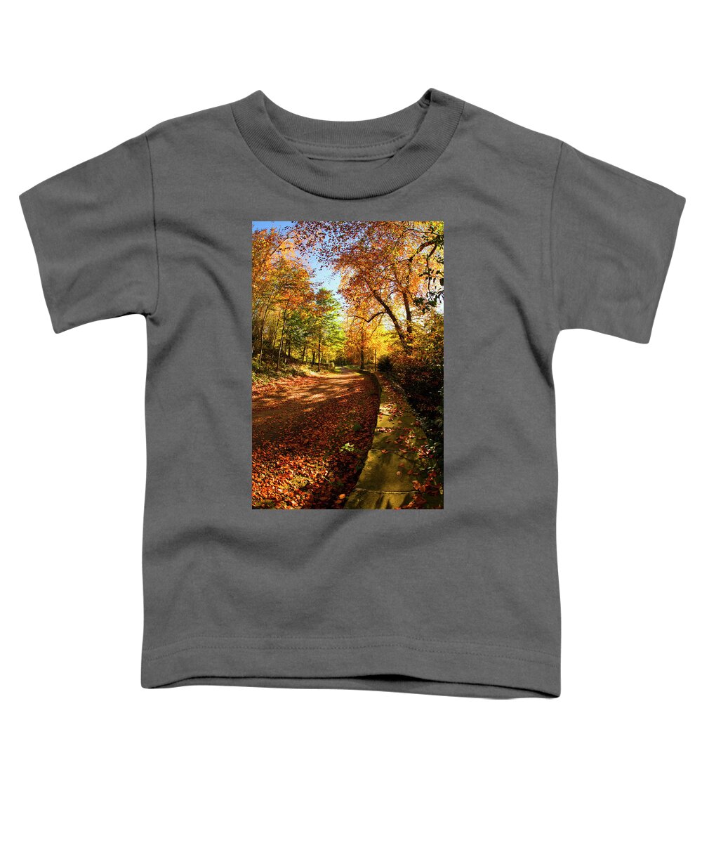 Leaf Toddler T-Shirt featuring the photograph A Path Covered With Fallen Leaves #1 by John Short