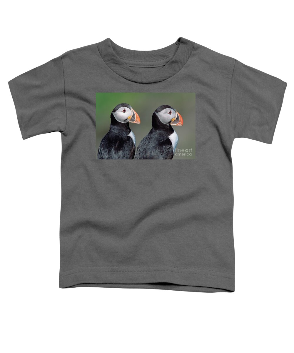 00342623 Toddler T-Shirt featuring the photograph Atlantic Puffins In Breeding Colors #2 by Yva Momatiuk and John Eastcott