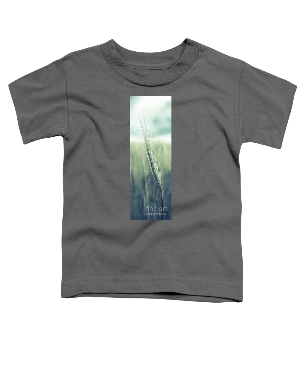 1x3 Toddler T-Shirt featuring the photograph Barley #1 by Hannes Cmarits