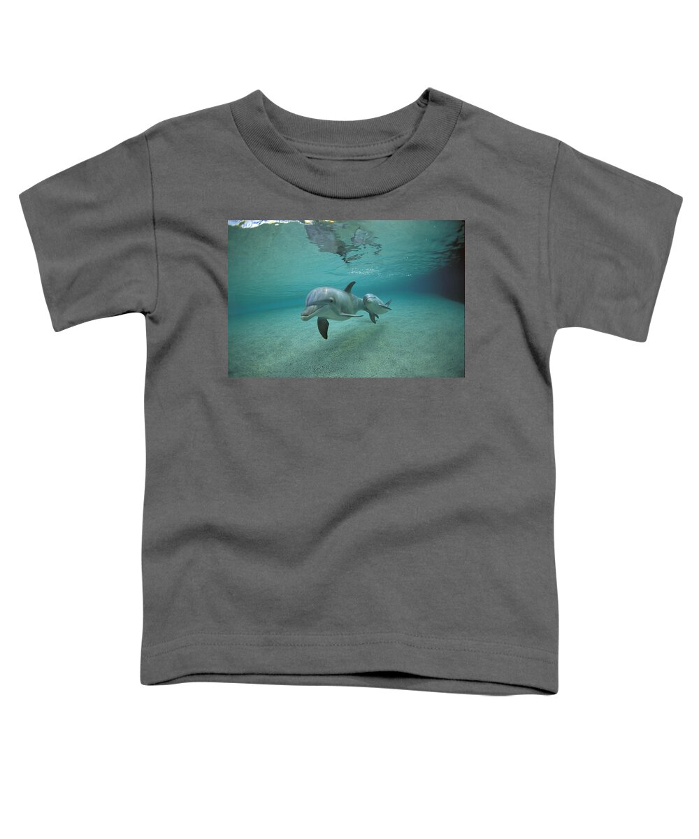 Feb0514 Toddler T-Shirt featuring the photograph Bottlenose Dolphin Mother And Young #1 by Flip Nicklin