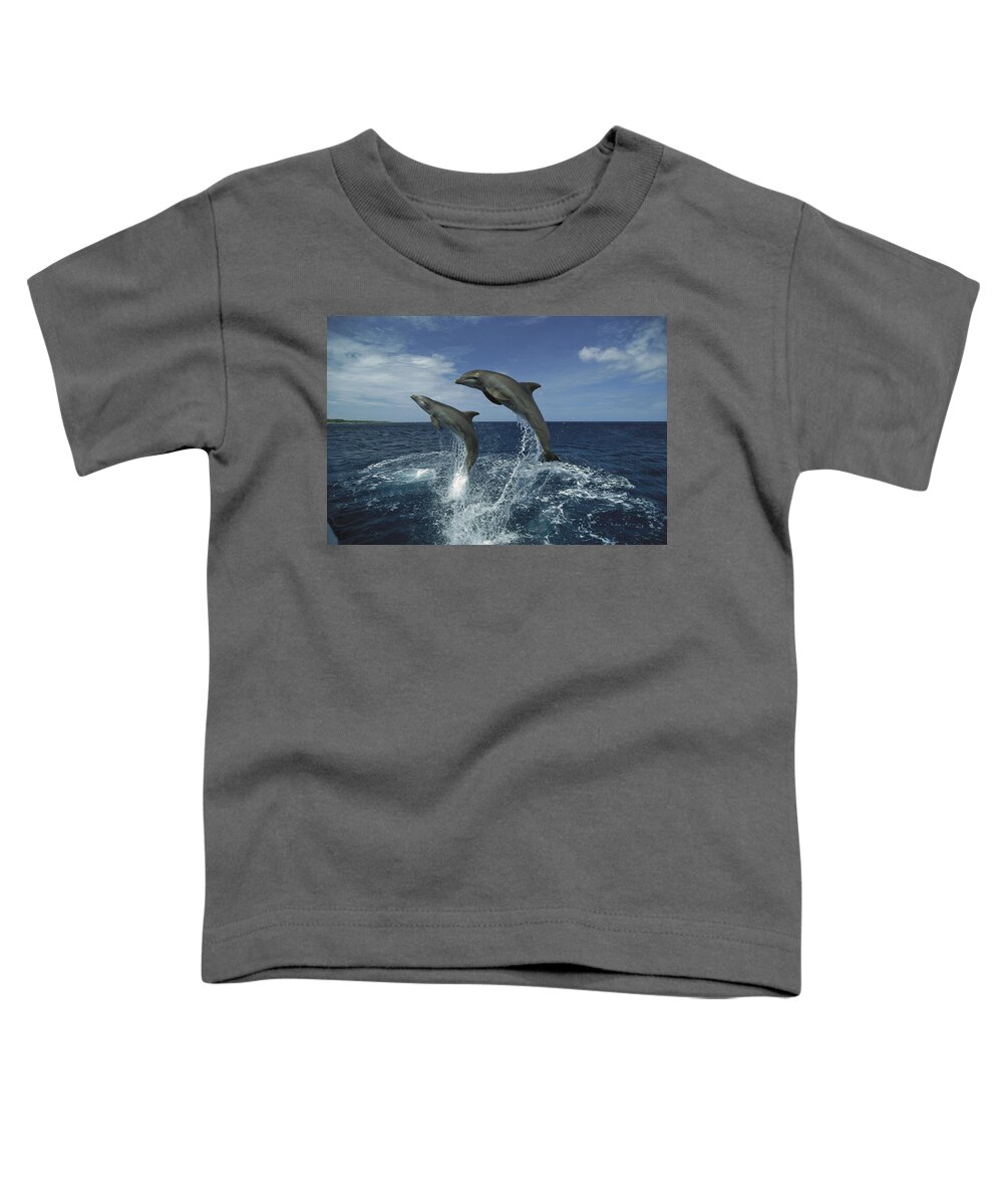 Feb0514 Toddler T-Shirt featuring the photograph Bottlenose Dolphin Pair Leaping Honduras #1 by Konrad Wothe