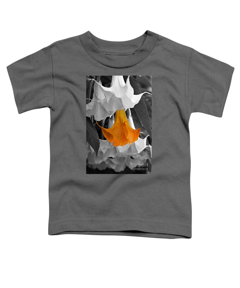 Brugmansia Toddler T-Shirt featuring the photograph Brugmansia Charles Grimaldi #1 by Louise Heusinkveld
