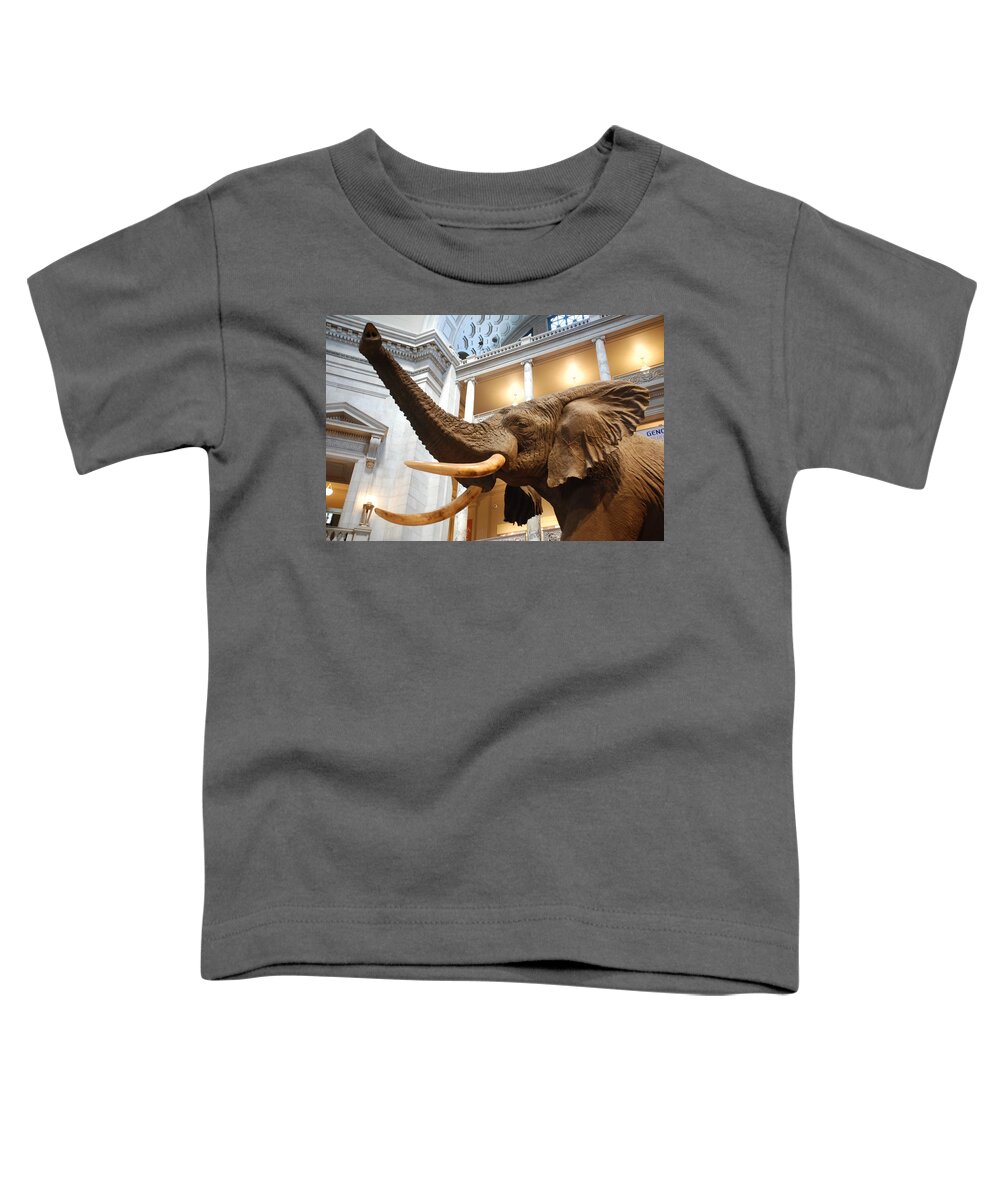 Bull Elephant Toddler T-Shirt featuring the photograph Bull Elephant in Natural History Rotunda #7 by Kenny Glover