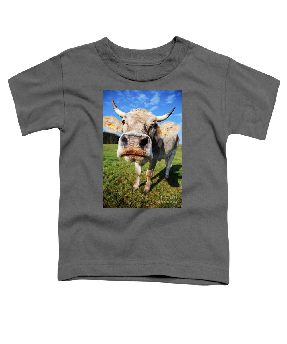 Cow Toddler T-Shirt featuring the photograph cow by Hannes Cmarits