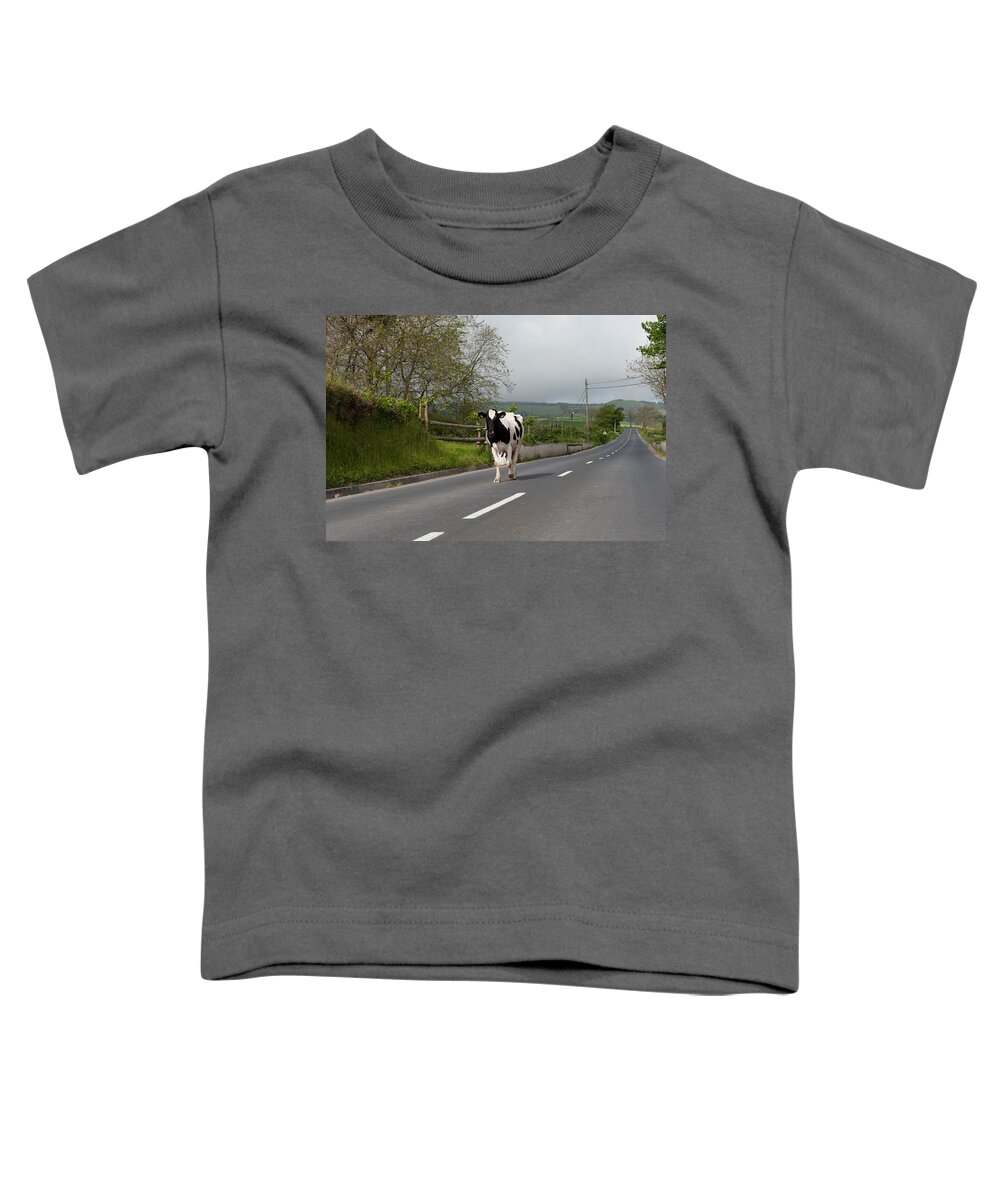 Agriculture Toddler T-Shirt featuring the photograph Cow walks along country road #1 by Joseph Amaral