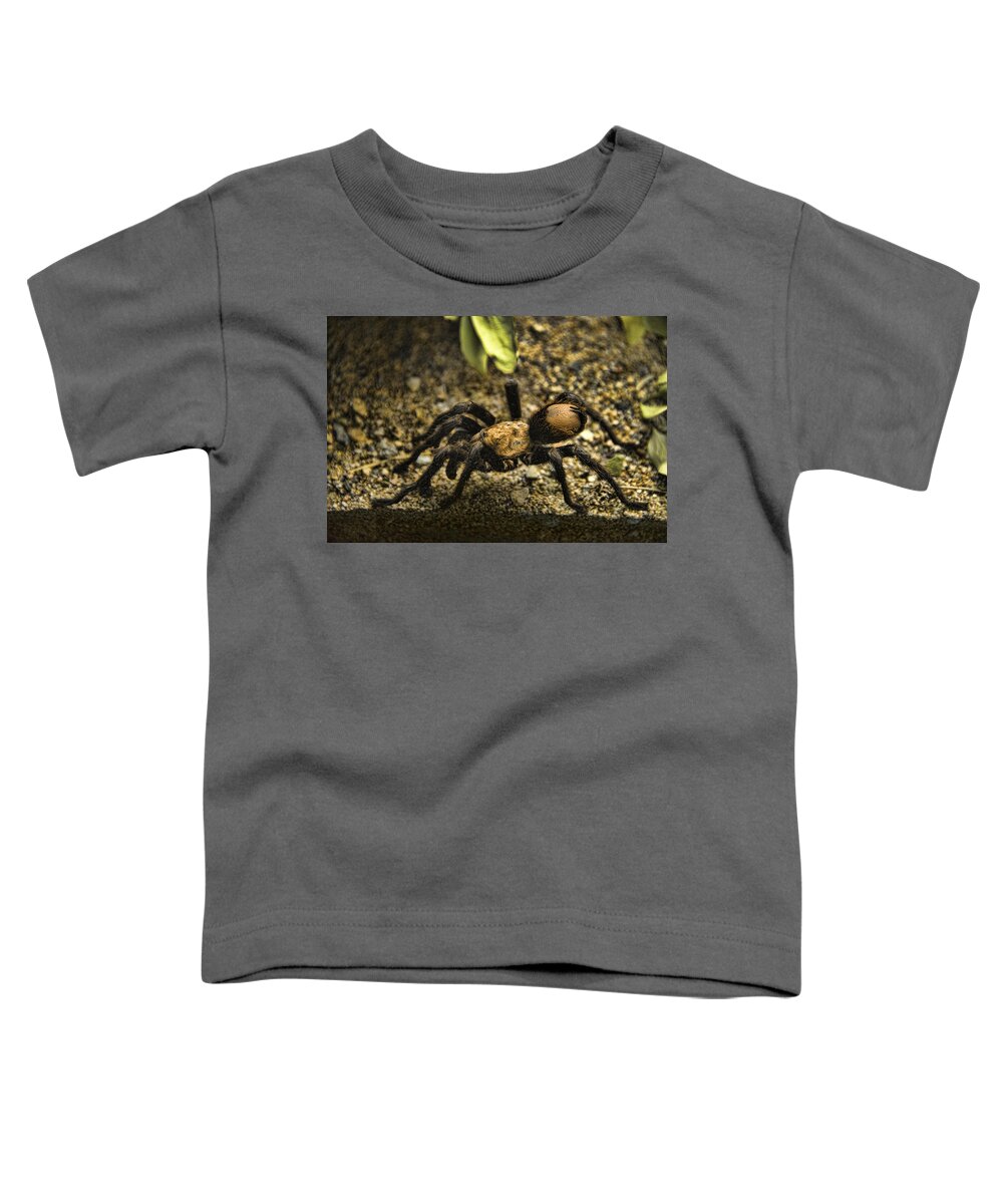 Nature Toddler T-Shirt featuring the photograph Desert Tarantula #1 by Mark Newman