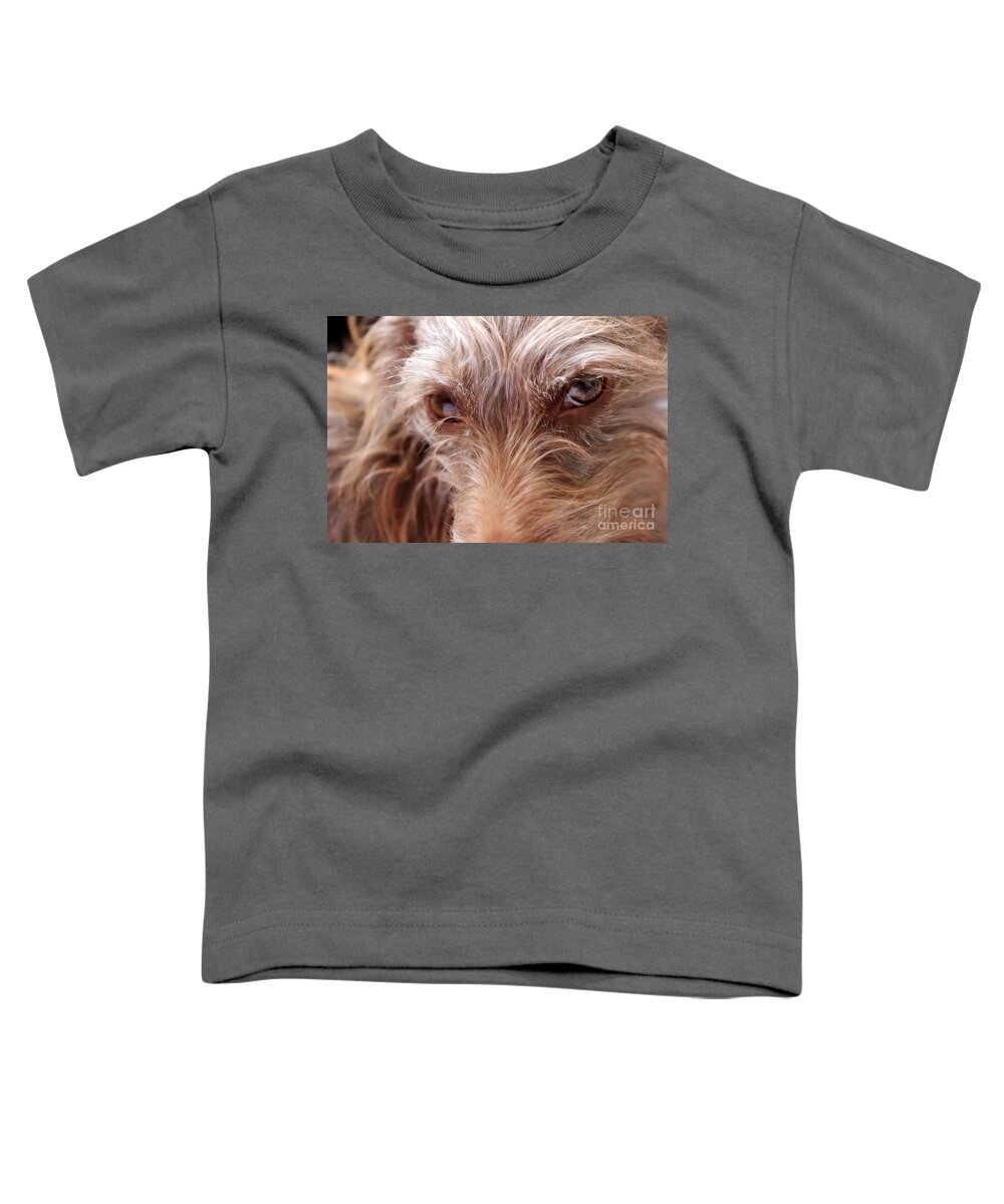 Brown Toddler T-Shirt featuring the photograph Dog Stare #1 by Janice Byer