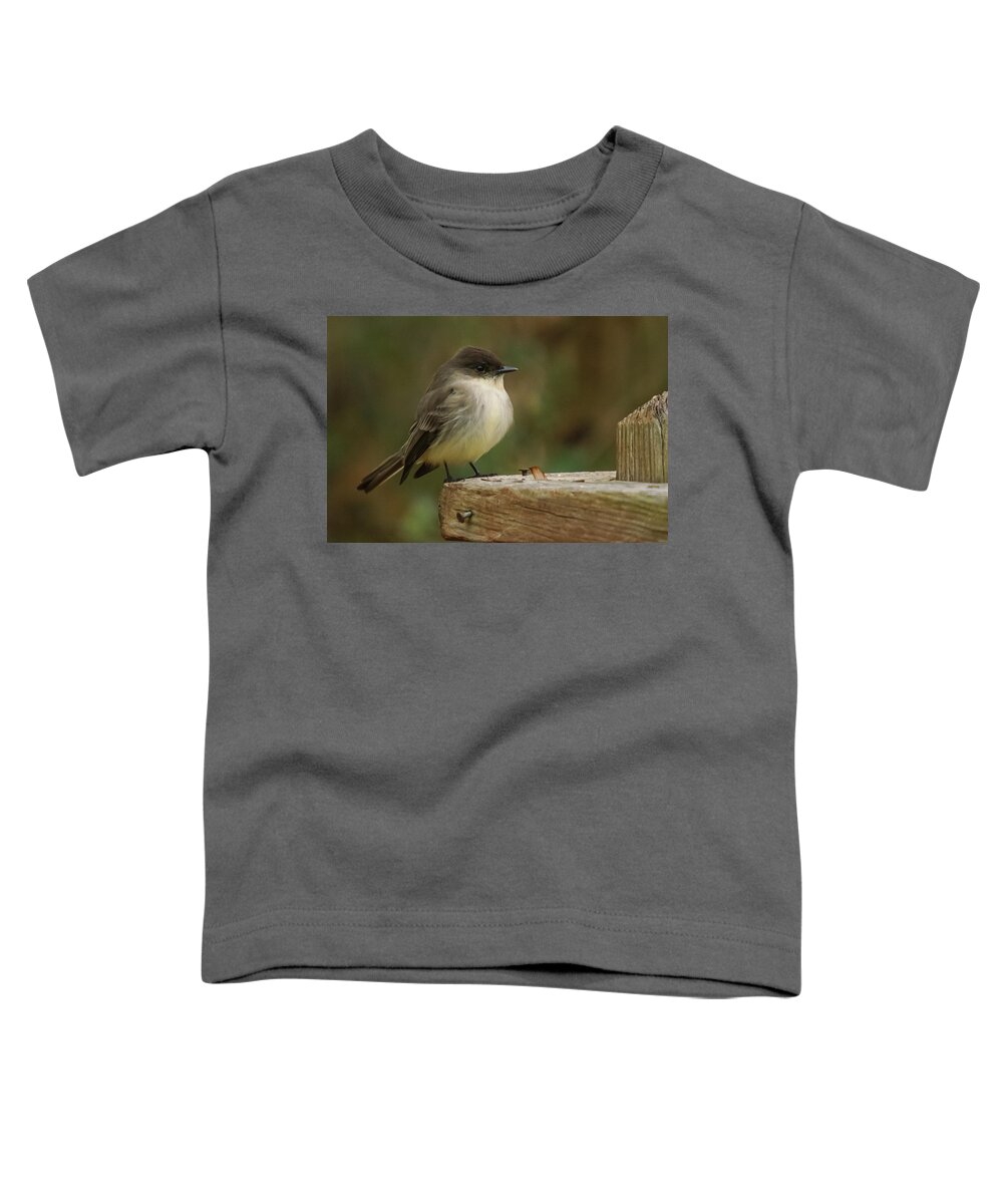 Eastern Phoebe Toddler T-Shirt featuring the photograph Eastern Phoebe #2 by Robert L Jackson