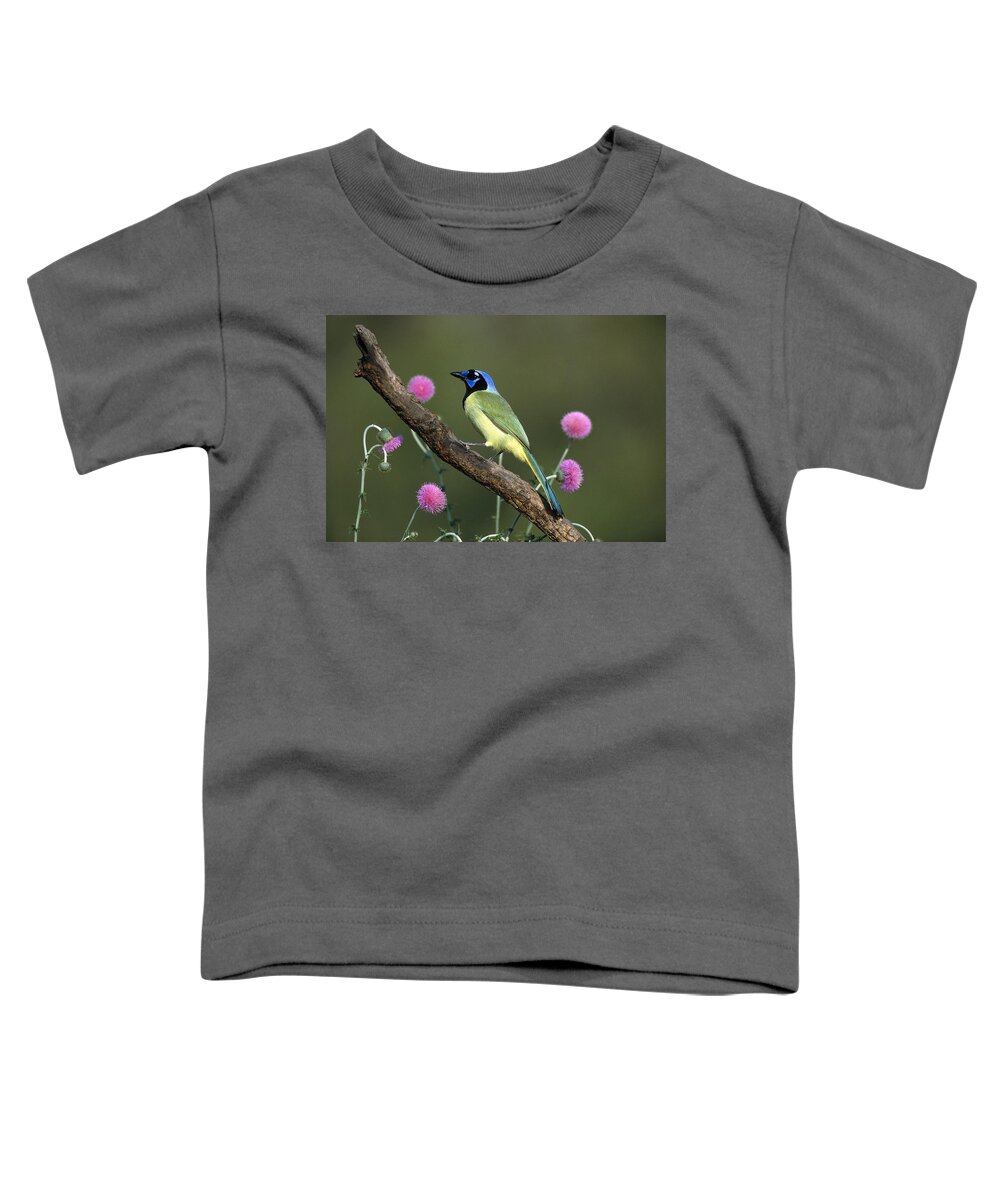 Feb0514 Toddler T-Shirt featuring the photograph Green Jay Rio Grande Valley Texas #1 by Tom Vezo