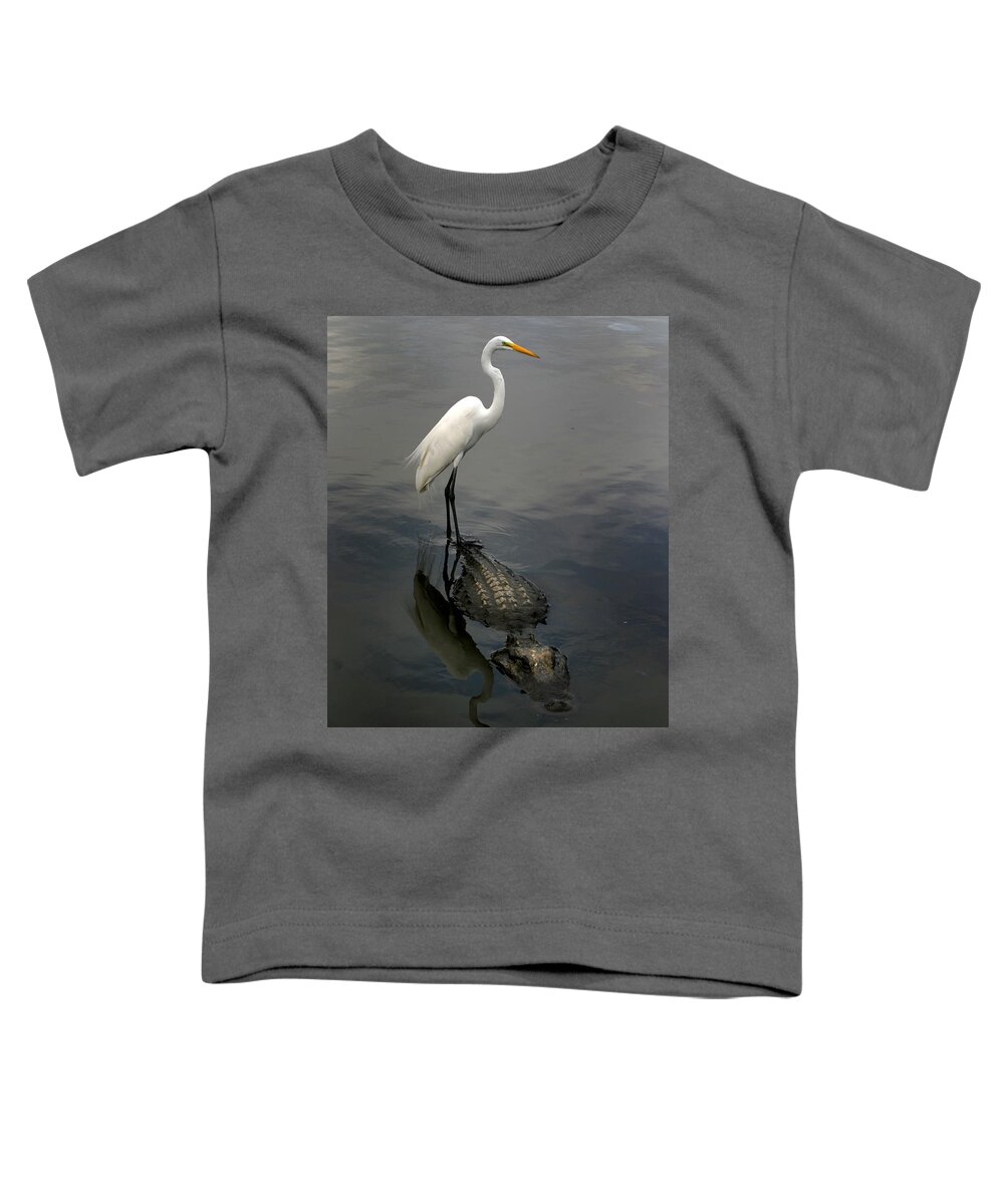 Alligator Toddler T-Shirt featuring the photograph Hitch Hiker by Anthony Jones