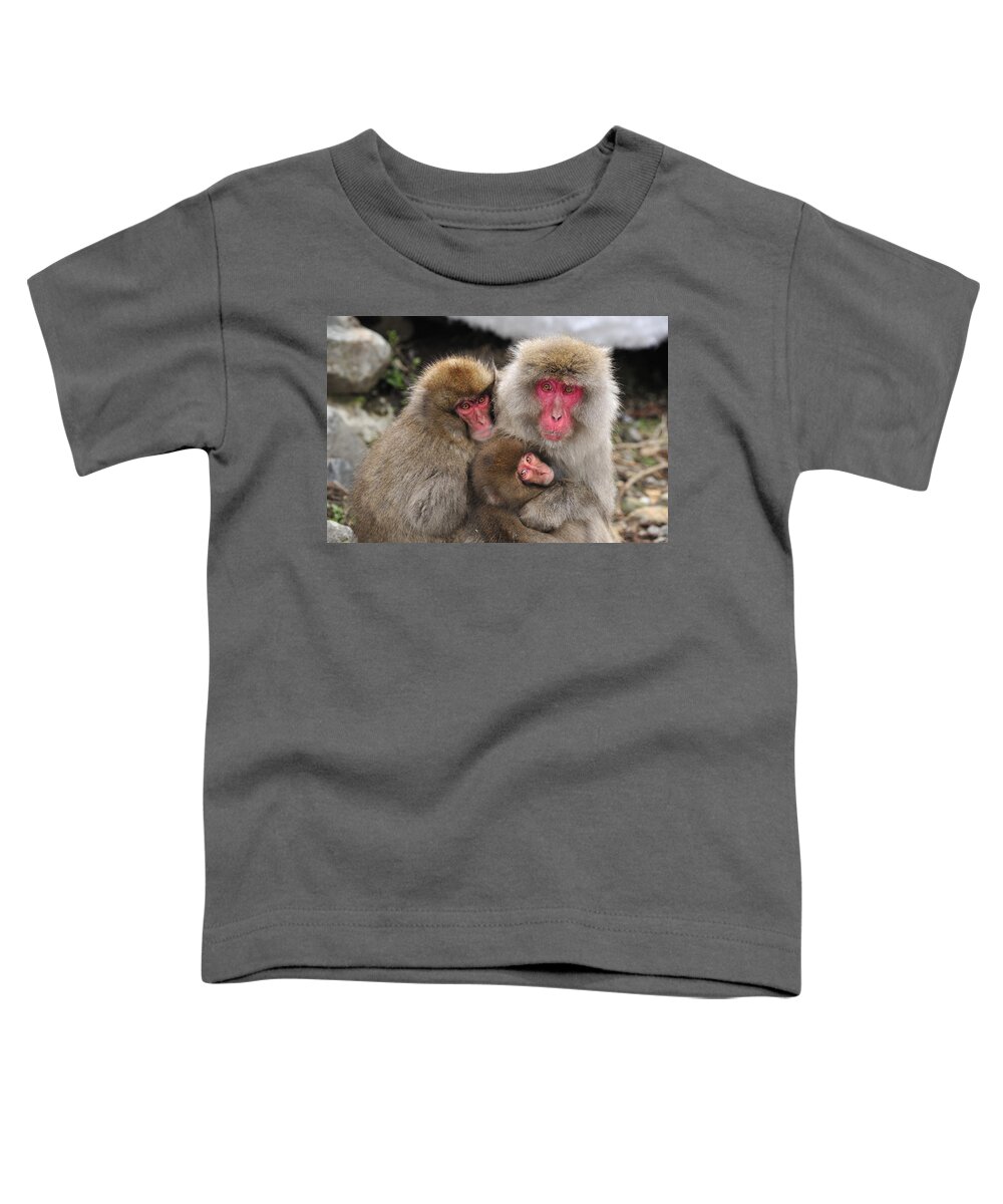 Thomas Marent Toddler T-Shirt featuring the photograph Japanese Macaque Mother With Young #1 by Thomas Marent