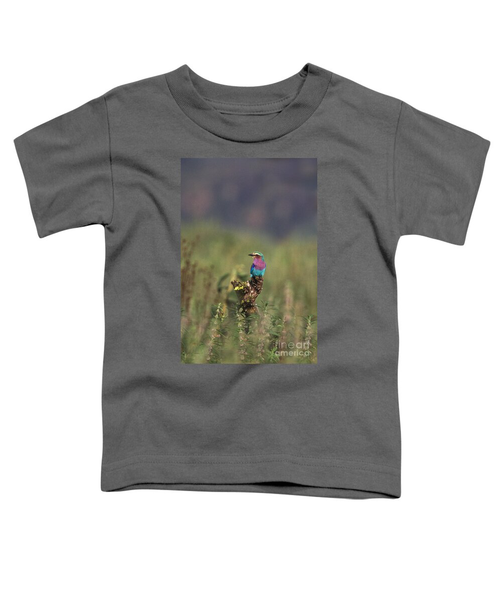 Animal Toddler T-Shirt featuring the photograph Lilac-breasted Roller #1 by Ron Sanford