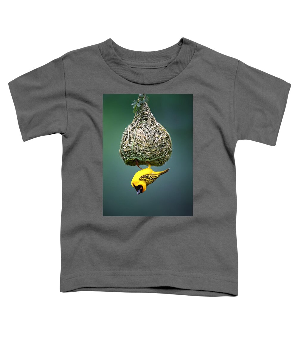 Africa Toddler T-Shirt featuring the photograph Masked weaver at nest #3 by Johan Swanepoel