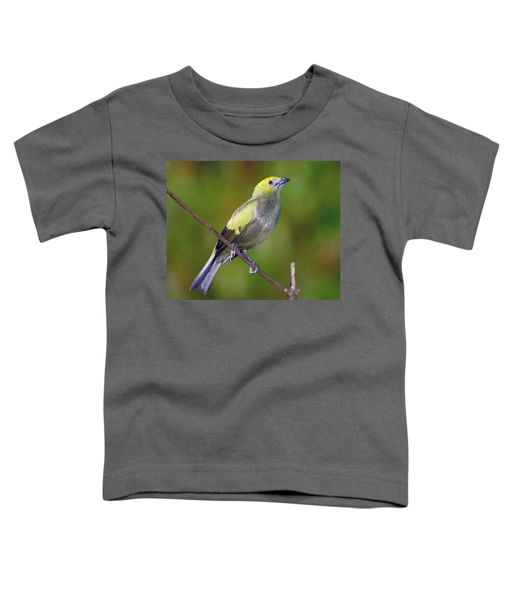 Palm Tanager Toddler T-Shirt featuring the photograph Palm Tanager #2 by Tony Beck