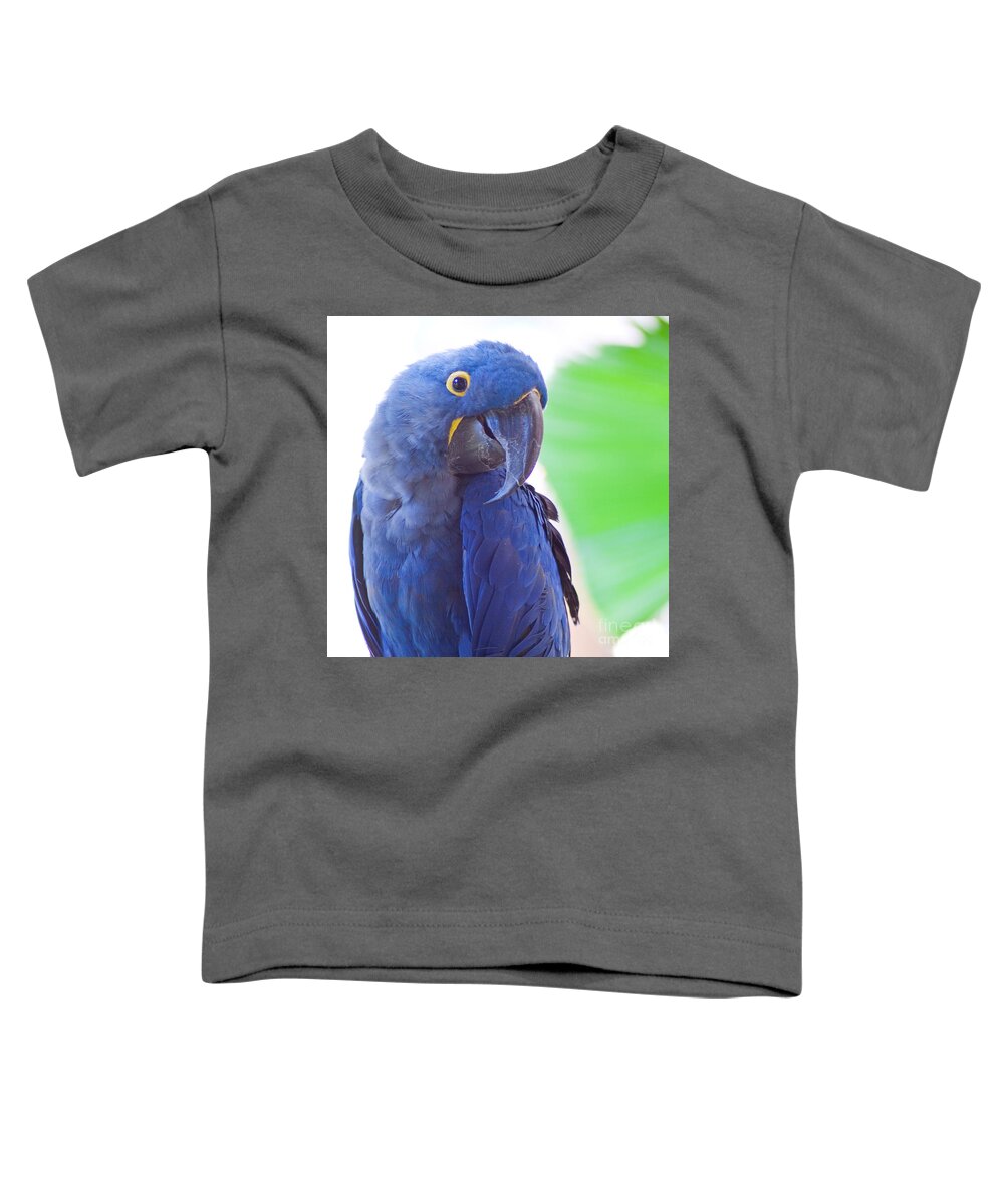 Parrots Toddler T-Shirt featuring the photograph Posie by Roselynne Broussard