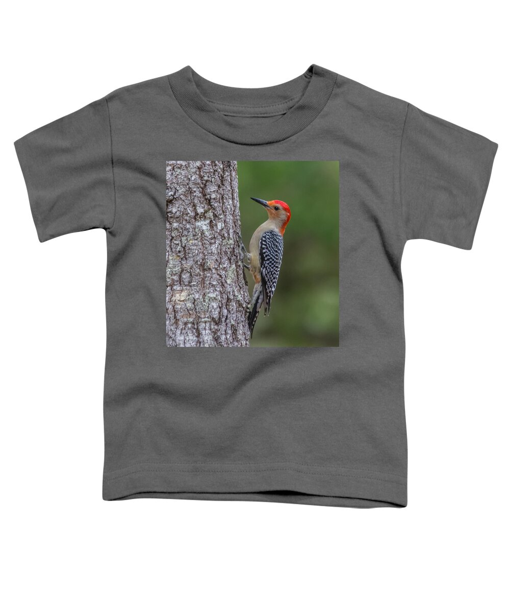 Florida Toddler T-Shirt featuring the photograph Red-bellied Woodpecker #1 by Jane Luxton