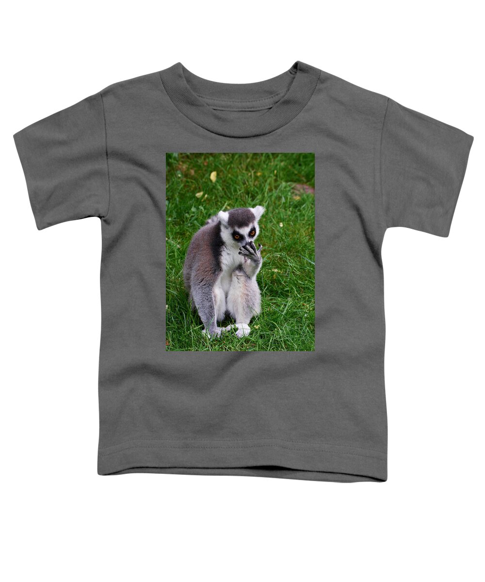 Alankomaat Toddler T-Shirt featuring the photograph Ring-tailed lemur #1 by Jouko Lehto
