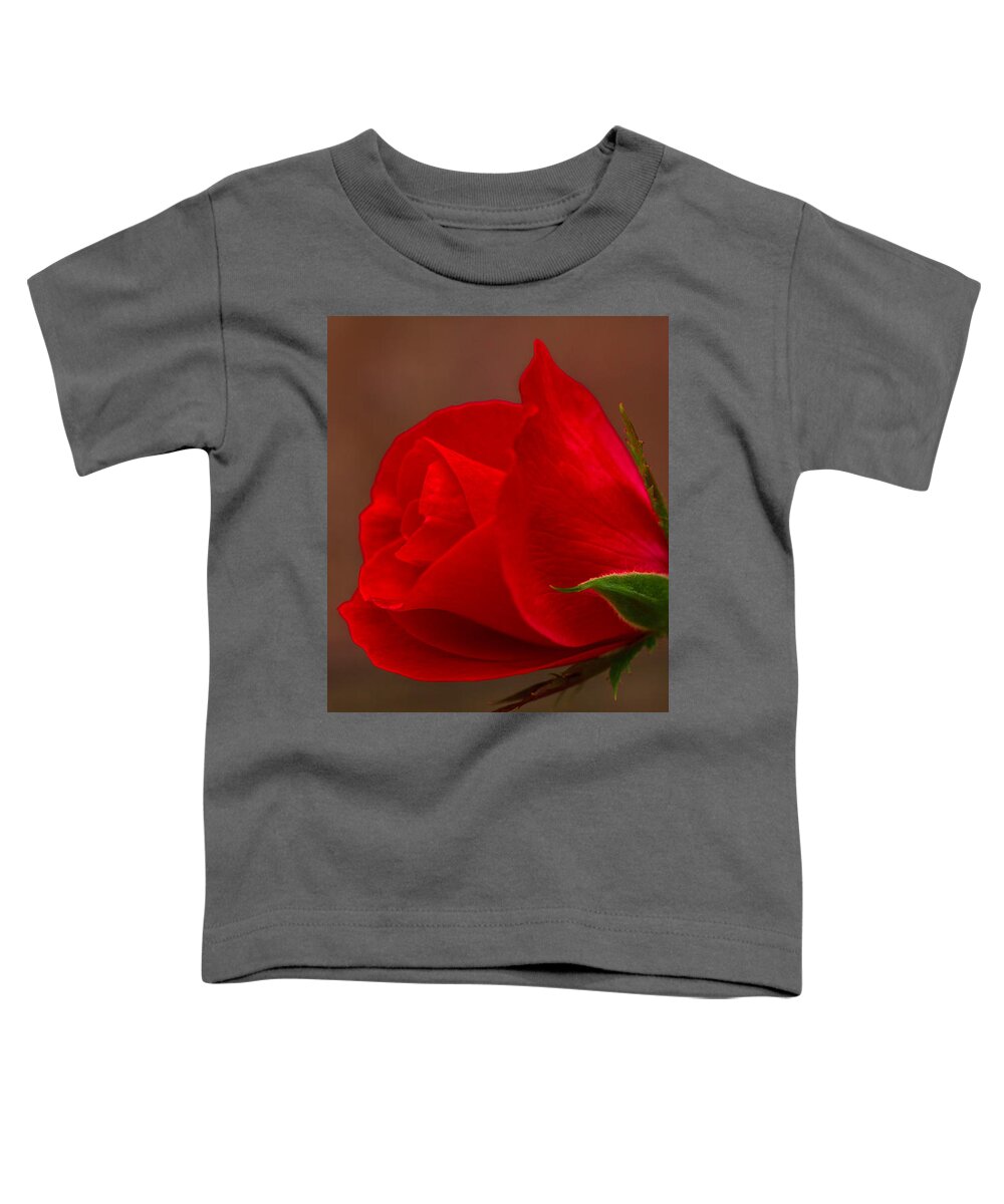 Art Prints Toddler T-Shirt featuring the photograph Roses Are Red #2 by Dave Bosse