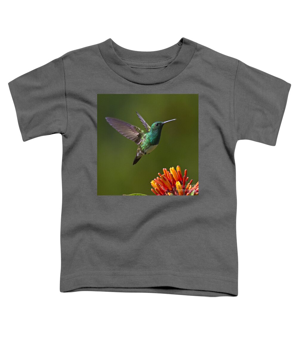 Bird Toddler T-Shirt featuring the photograph Snowy-bellied Hummingbird by Heiko Koehrer-Wagner
