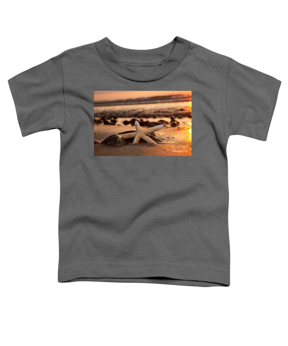 Starfish Toddler T-Shirt featuring the photograph Starfish on the beach at sunset #1 by Michal Bednarek