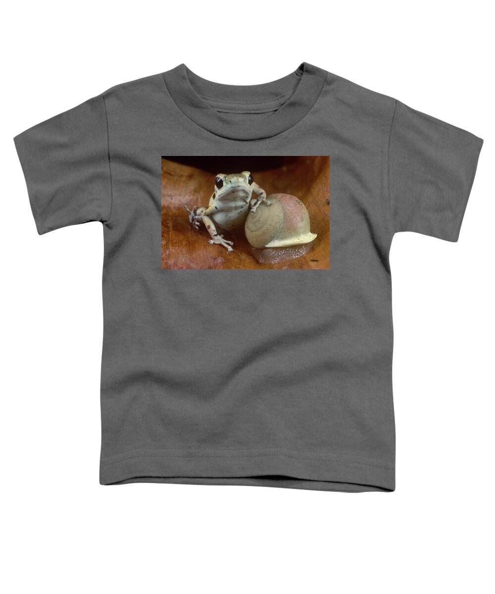 Feb0514 Toddler T-Shirt featuring the photograph Strawberry Poison Dart Frog Resting #1 by Mark Moffett