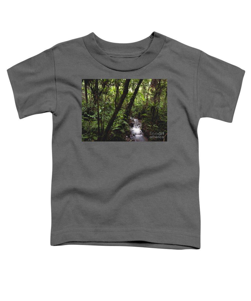 Outdoors Toddler T-Shirt featuring the photograph Stream In Rainforest #1 by Art Wolfe