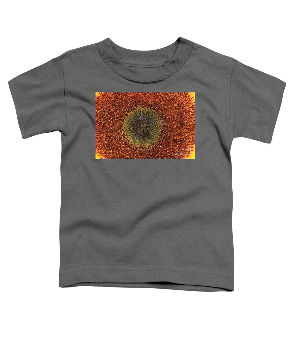 Background Toddler T-Shirt featuring the photograph Sunflower Seeds by Amanda Mohler