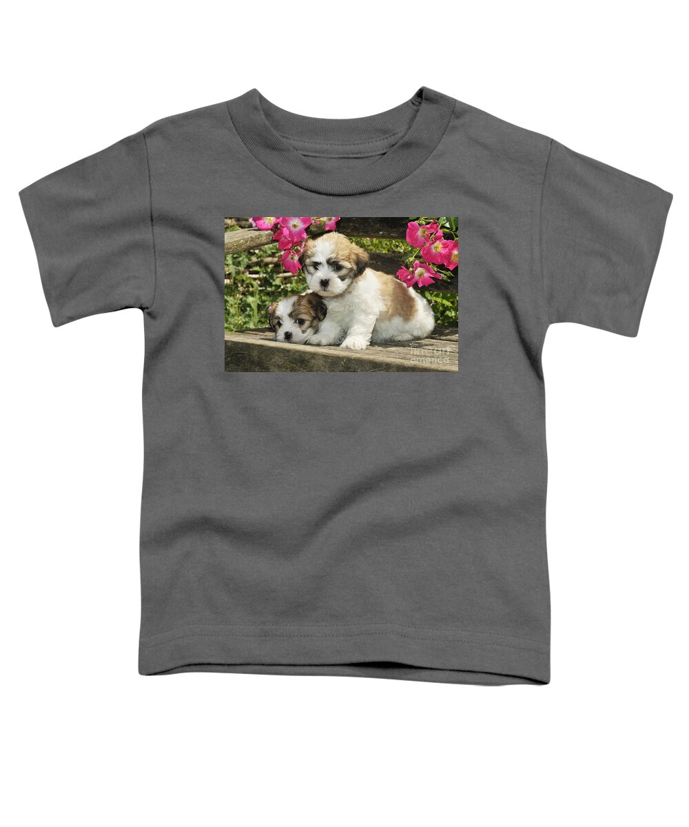 Dog Toddler T-Shirt featuring the photograph Teddy Bear Puppy Dogs #3 by John Daniels