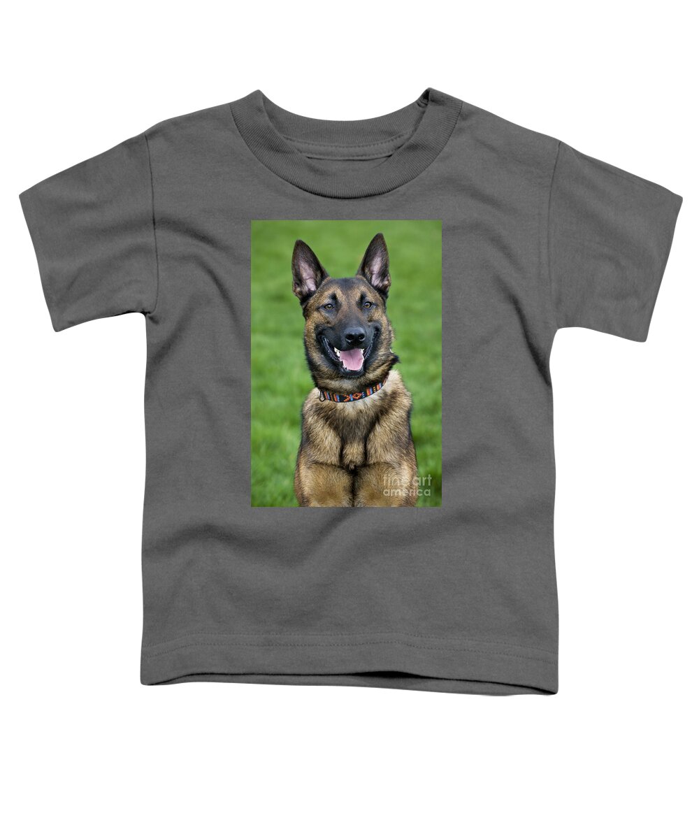 Belgian Shepherd Dog Toddler T-Shirt featuring the photograph 101130p013 by Arterra Picture Library