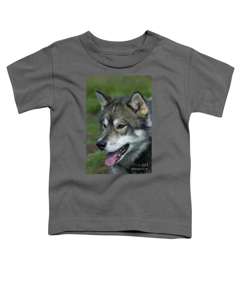 Greenland Toddler T-Shirt featuring the photograph 101130p247 by Arterra Picture Library