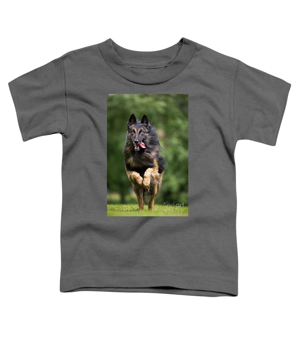 Mammal Toddler T-Shirt featuring the photograph 110801p138 by Arterra Picture Library