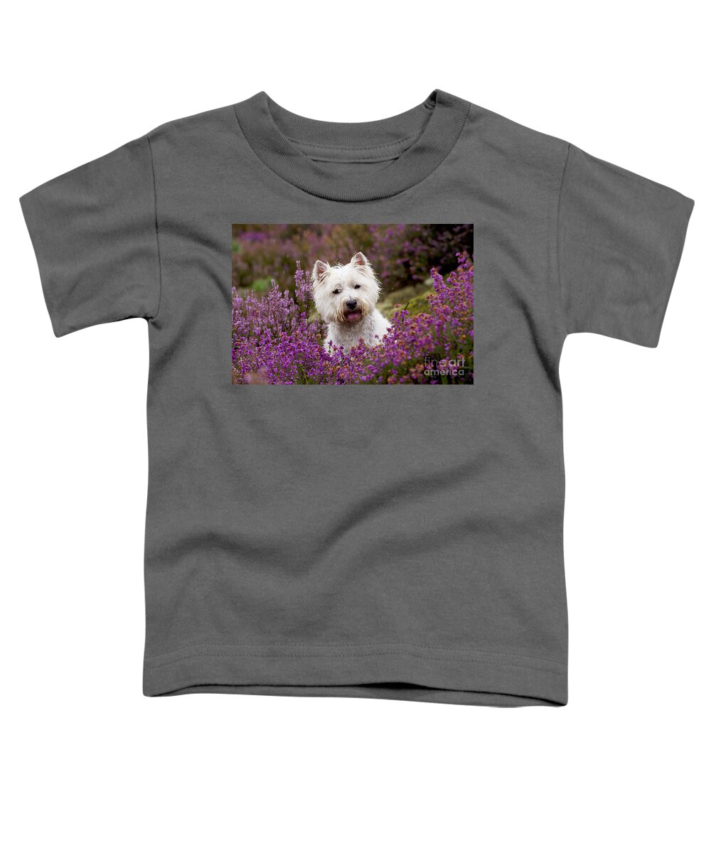 Dog Toddler T-Shirt featuring the photograph West Highland White Terrier #12 by John Daniels